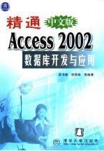 精通中文版Access 2002数据库开发与应用