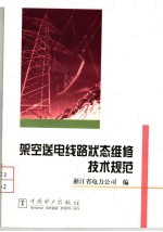 架空送电线路状态维修技术规范