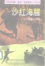 沙红海腥  从阿拉曼到罗马