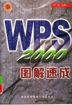 WPS 2000图解速成