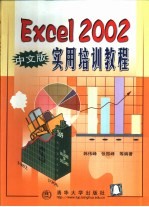 Excel 2002中文版实用培训教程