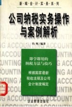 公司纳税实物操作与案例解析