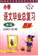 小学语文毕业总复习题解  修订版