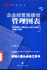 企业经营高绩效管理图表  经理人案头必备工具书