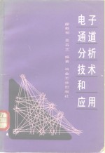 电子通道分析技术和应用