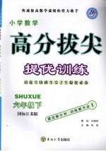 高分拔尖提优训练：数学  六年级下册  （国标江苏版）