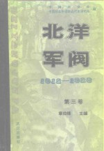 北洋军阀  1912-1928  第3卷  皖系军阀与日本