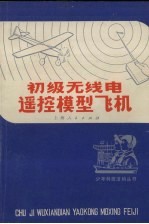 初级无线电遥控模型飞机