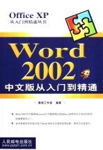 Word 2002 中文版从入门到精通