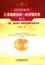 转型国家的汇率制度选择与经济稳定性研究  中国、俄罗斯汇率制度选择的比较分析