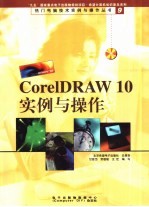 Core1DRAW 10实例与操作