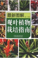 最新图解观叶植物栽培指南