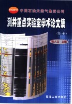 中国石油天然气集团公司测井重点实验室学术论文集  第1辑