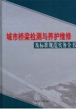 城市桥梁检测与养护维修及标准规范实务全书  第3卷