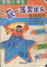 全国小学生一等奖作文精选精评