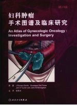 妇科肿瘤手术图谱及临床研究  第2版