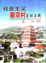 社会主义新农村建设实践  上