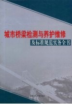 城市桥梁检测与养护维修及标准规范实务全书  第4卷