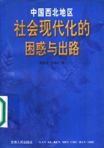 中国西北地区社会现代化的困惑与出路