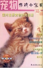 宠物你的小宝贝  猫咪