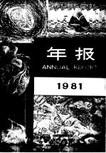 年报  1981