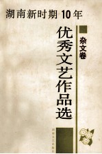 湖南新时期10年优秀文艺作品选  杂文卷