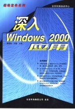 深入Windows 2000应用