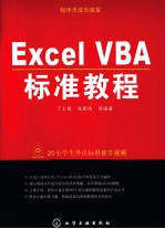 Excel VBA标准教程