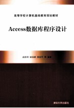 Access数据库程序设计