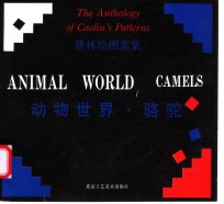 动物世界 豹 曹林绘图案集 the anthology of Caolin's patterns