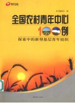 全国农村青年中心100例  探索中的新型基层青年组织