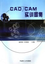 CAD/CAM实训图集