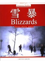 雪暴