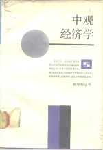 中观经济学