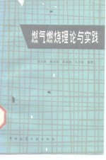 燃气燃烧理论与实践