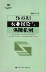 转型期农业风险及保障机制