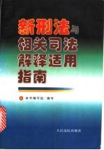 新刑法与相关司法解释适用指南