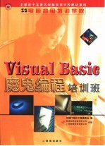 Visual Basic魔鬼编程培训班