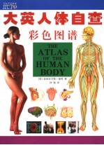 大英人体自查彩色图谱 a complete guide to how the body works