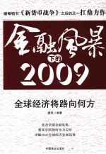 金融危机下的 2009