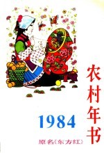 农村年书  1984