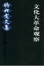 竹内实文集  第6卷  文化大革命观察