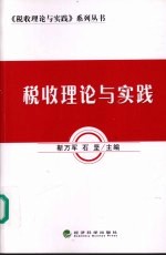 税收理论与实践