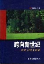 跨向新世纪：社会文化文论集