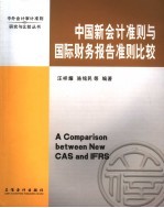 中国新会计准则与国际财务报告准则比较