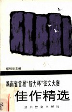 湖南省首届“智力杯”征文大赛佳作精选