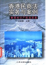 香港民商法实务与案例  香港知识产权法实务