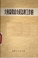 大鱼岛党总支是怎样工作的