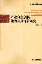 产业自主创新能力及其评价研究