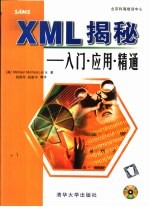 XML揭秘 入门·应用·精通